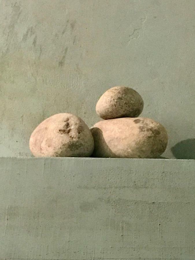 شقة Casa Mingot Sxvi Anciles Benasque المظهر الخارجي الصورة